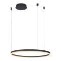 Azzardo AZ4960 - LED prigušivač luster na užetu HALO LED/54W/230V promjer 80 cm crna