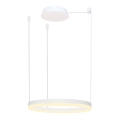 Azzardo AZ4967 - LED prigušivač za luster na užetu HALO LED/47W/230V promjer 60 cm bijela