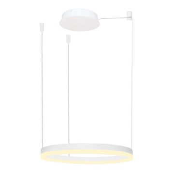 Azzardo AZ4967 - LED prigušivač za luster na užetu HALO LED/47W/230V promjer 60 cm bijela
