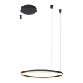 Azzardo AZ4968 - LED prigušivač za luster na užetu HALO LED/47W/230V promjer 60 cm crna