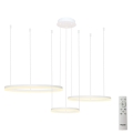 Azzardo AZ4971 - LED prigušivač luster na užetu HALO LED/120W/230V bijela + daljinski upravljač