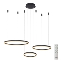 Azzardo AZ4972 - LED prigušivač luster na užetu HALO LED/120W/230V crna + daljinski upravljač