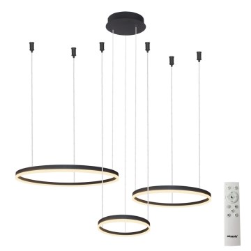 Azzardo AZ4972 - LED prigušivač luster na užetu HALO LED/120W/230V crna + daljinski upravljač