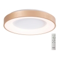 Azzardo AZ4992 - LED stropna svjetiljka s prigušivanjem SANTANA LED/50W/230V zlatna + daljinski upravljač