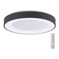 Azzardo AZ4995 - LED stropna svjetiljka s prigušivanjem SANTANA LED/80W/230V crna + daljinski upravljač