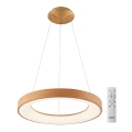 Azzardo AZ5010 - LED prigušivač luster na užetu SANTANA LED/50W/230V smeđa + daljinski upravljač