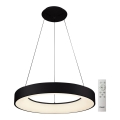 Azzardo AZ5012 - LED prigušivač luster na užetu SANTANA LED/80W/230V crna + daljinski upravljač