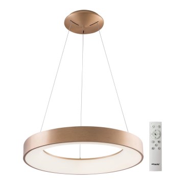 Azzardo AZ5013 - LED prigušivač luster na užetu SANTANA LED/80W/230V zlatna + daljinski upravljač