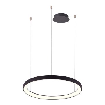 Azzardo AZ5016 -LED Prigušivi luster na sajli AGNES LED/38W/230V pr. 48 cm crna