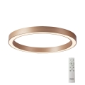 Azzardo AZ5036 - LED stropna svjetiljka s prigušivanjem MARCO LED/60W/230V zlatna + daljinski upravljač