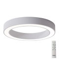 Azzardo AZ5037 - LED stropna svjetiljka s prigušivanjem MARCO LED/80W/230V bijela + daljinski upravljač