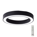 Azzardo AZ5038 - LED stropna svjetiljka s prigušivanjem MARCO LED/80W/230V crna + daljinski upravljač