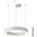 Azzardo AZ5043 - LED prigušivač lustera na užetu MARCO LED/50W/230V bijela + daljinski upravljač