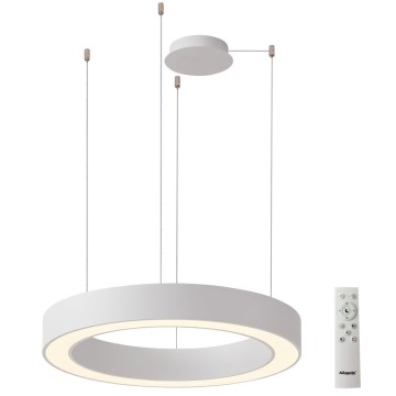 Azzardo AZ5052 - LED luster na sajli MARCO s mogućnošću prigušivanja LED/100W/230V bijela + daljinsko upravljanje