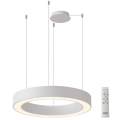 Azzardo AZ5052 - LED prigušivač za luster na užetu MARCO LED/100W/230V bijela + daljinski upravljač