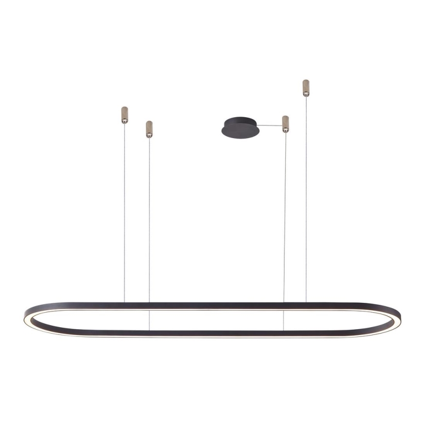 Azzardo AZ5055 - LED prigušivač za luster na užetu ELENA LED/50W/230V 120 cm crna