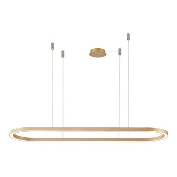 Azzardo AZ5056 - LED prigušivački luster na užetu ELENA LED/50W/230V 120 cm zlatna