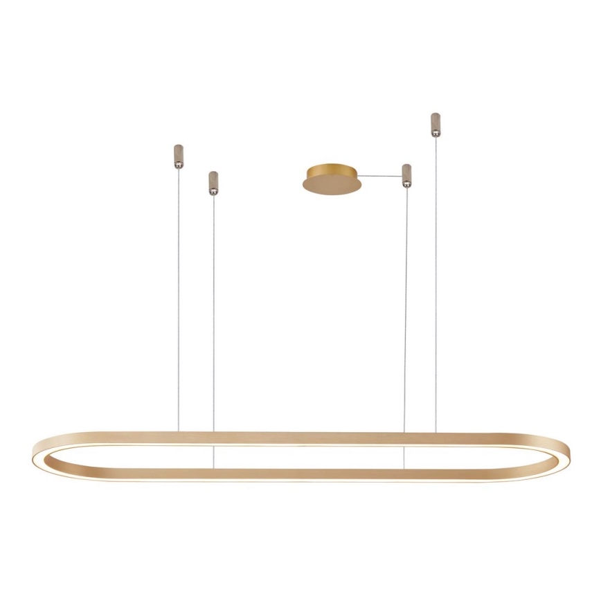 Azzardo AZ5056 - LED prigušivački luster na užetu ELENA LED/50W/230V 120 cm zlatna