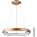 Azzardo AZ5067 - LED prigušivač lustera na užetu ANTONIO LED/80W/230V zlatna + daljinski upravljač