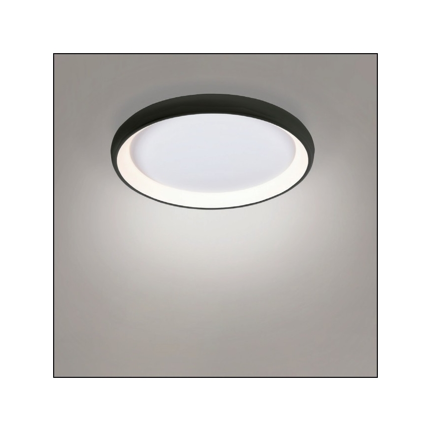 Azzardo AZ5072 - LED stropna svjetiljka s prigušivanjem ANTONIO LED/50W/230V crna + daljinski upravljač