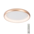 Azzardo AZ5073 - LED stropna svjetiljka s prigušivanjem ANTONIO LED/50W/230V zlatna + daljinski upravljač