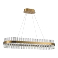 Azzardo AZ5263 - LED Luster na sajli FRANCESCA LED/64W/230V 100 cm