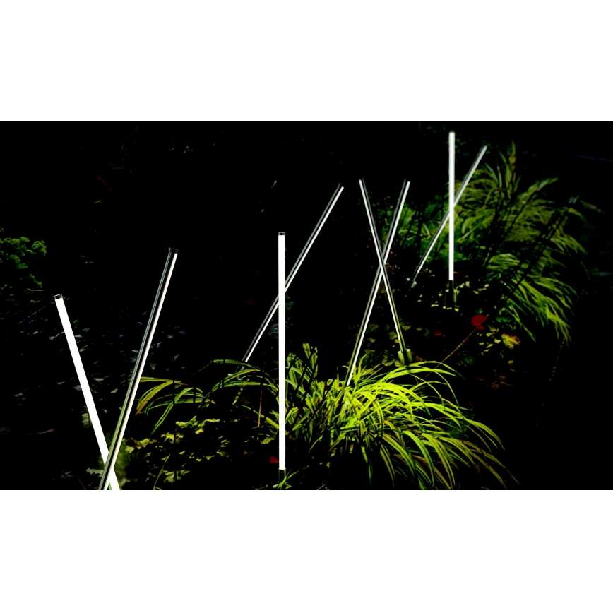 Azzardo AZ5337 - LED Vanjska lampa FREDO LED/6W/230V IP54 58 cm