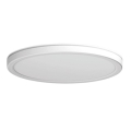 Azzardo AZ5367 - LED Prigušiva stropna svjetiljka za kupaonicu PANKA LED/24W/230V IP40 bijela