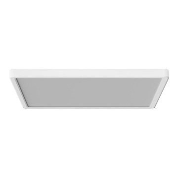 Azzardo AZ5373 - LED stropna svjetiljka s prigušivanjem PANKA LED/45W/230V IP40 bijela