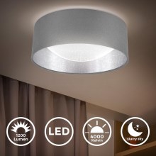 B.K. Licht 1308 - LED Stropna svjetiljka LED/12W/230V