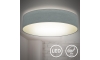B.K. Licht 1393 - LED Stropna svjetiljka LED/20W/230V siva