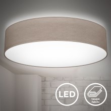 B.K. Licht 1395 - LED Stropna svjetiljka LED/20W/230V taupe