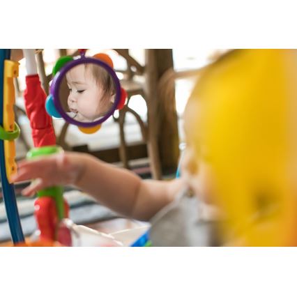 Baby Einstein - Skakalica za bebe 2u1 NEIGHBORHOOD SYMPHONY 3xAA