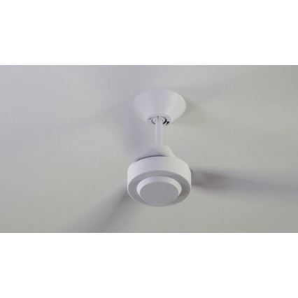 BAYSIDE 213015 - Stropni ventilator CALYPSO