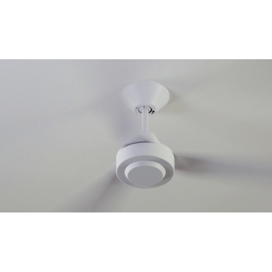 BAYSIDE 213015 - Stropni ventilator CALYPSO