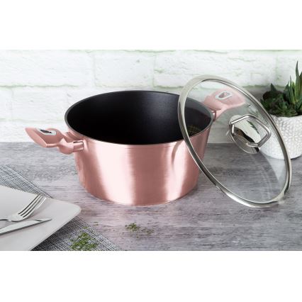 BerlingerHaus - Lonac s površinom od titanija + poklopac 24 cm rose gold