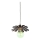 Bohemia-Design - Luster na sajli 1xE27/60W/230V brončana