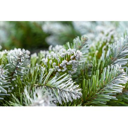 Božićni vijenac promjera 54 cm