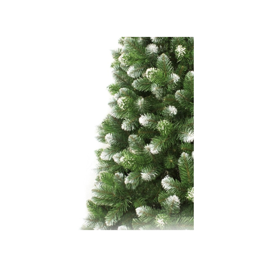 Božićno drvce 220 cm, smreka