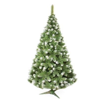 Božićno drvce 250 cm bor