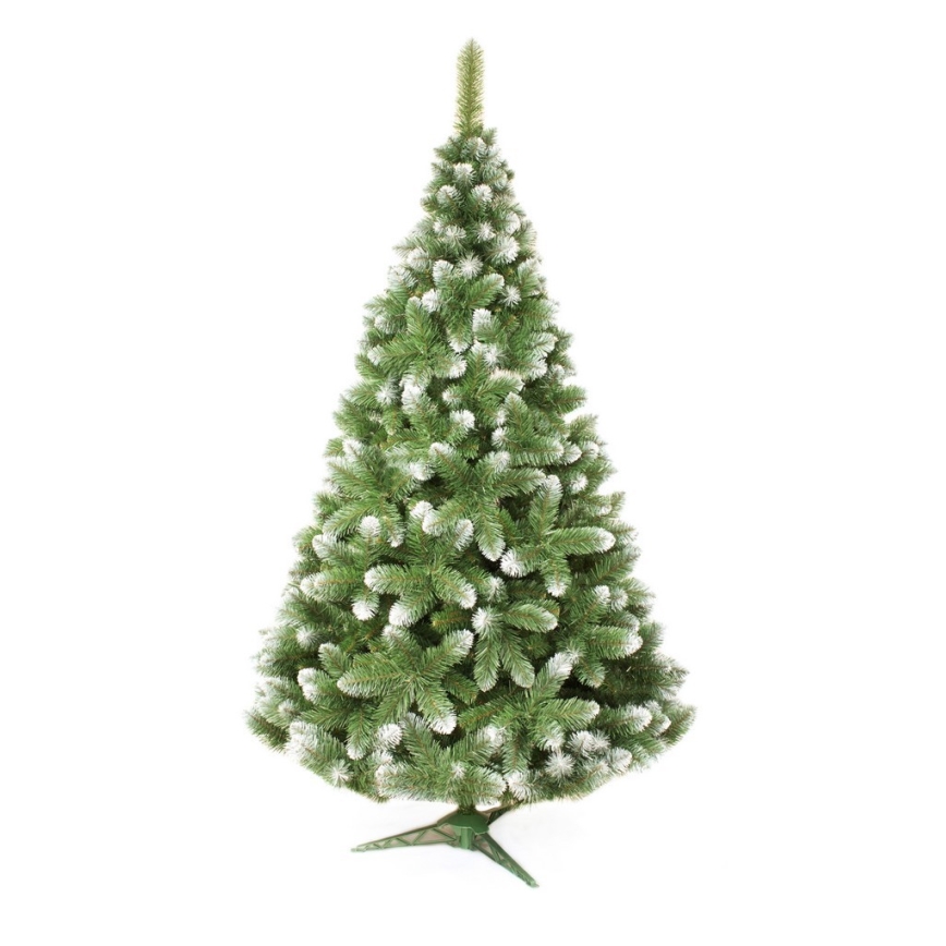 Božićno drvce 250 cm bor