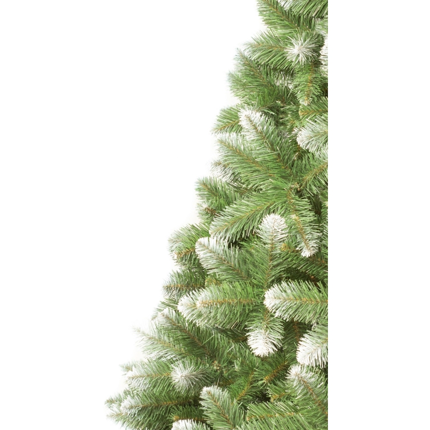 Božićno drvce 250 cm bor