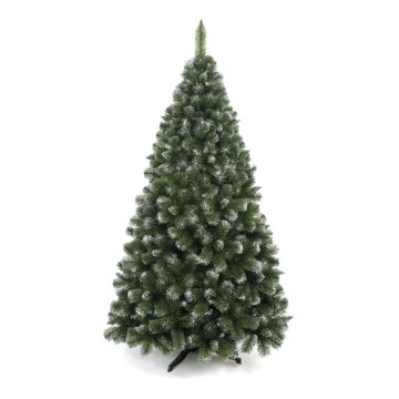 Božićno drvce 250 cm, bor