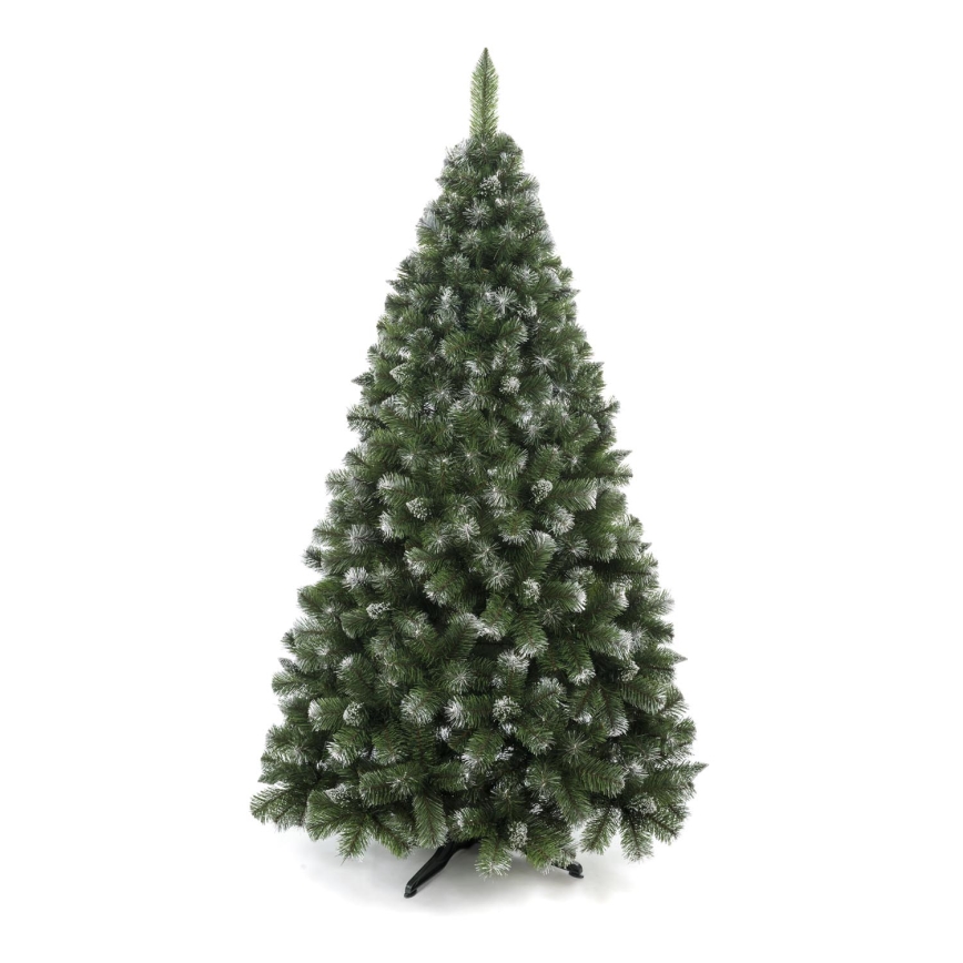 Božićno drvce 250 cm, bor