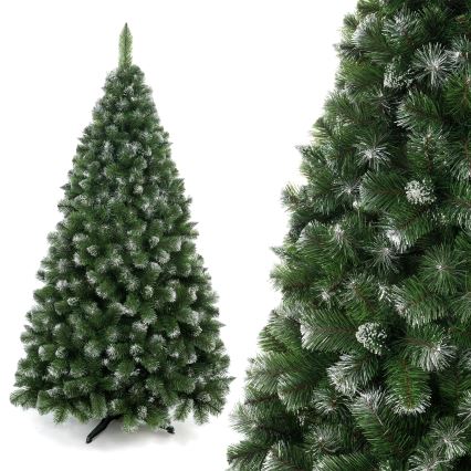 Božićno drvce 250 cm, bor