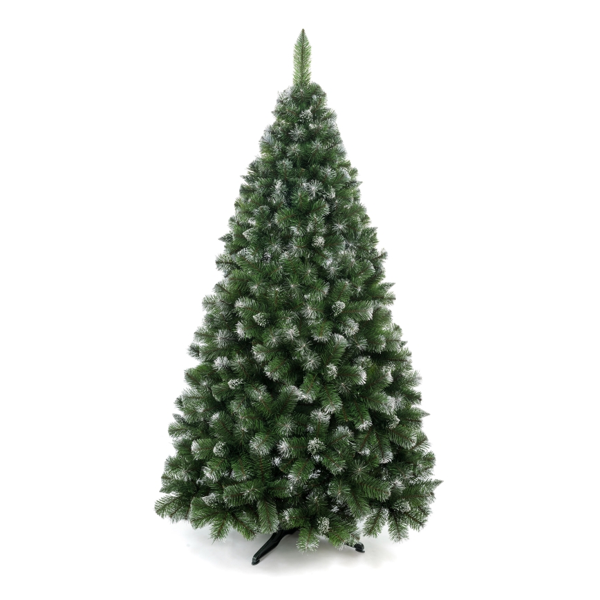 Božićno drvce borovica, visine 120 cm