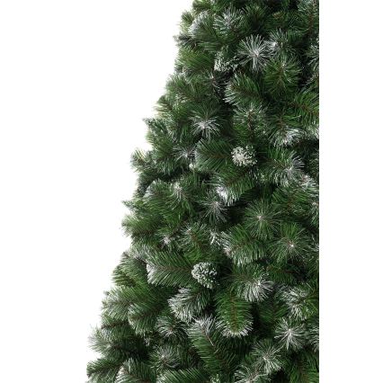 Božićno drvce borovica, visine 120 cm
