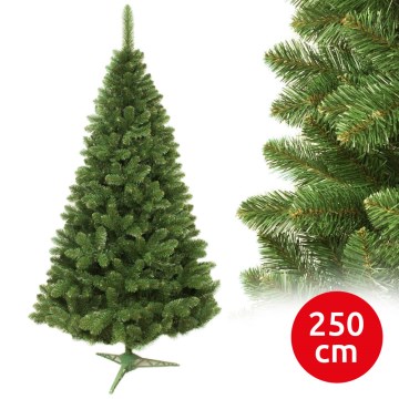 Božićno drvce jela, visine 250 cm