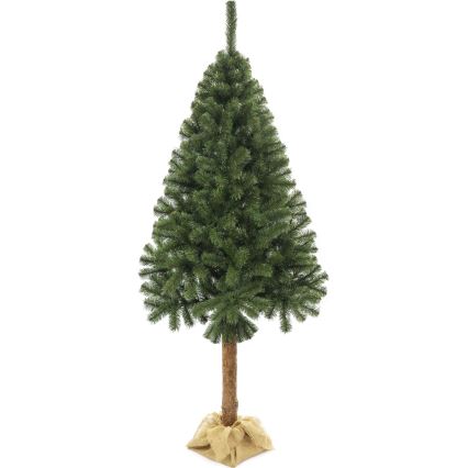 Božićno drvce na deblu 160 cm jela