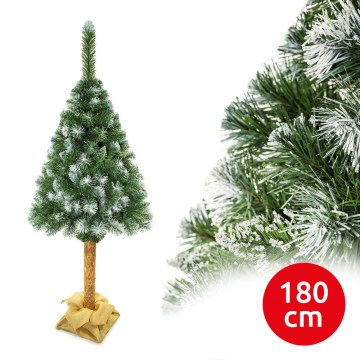 Božićno drvce na deblu 180 cm bor